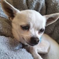 Photo of Suzie
