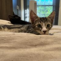 Photo of Bootsie Malone