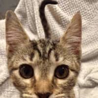 Photo of Mabel