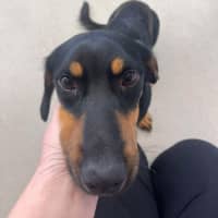 Photo of ✈ Jett 5687 ✈