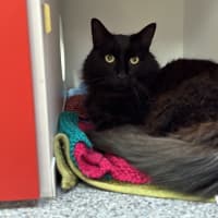 Photo of Oscar Hautot