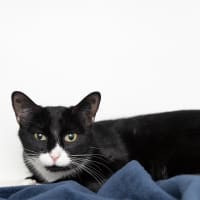 Photo of Mia