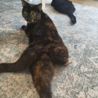 Photo of Hera