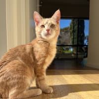Photo of Connor