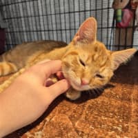 Photo of Monkey! 🦧 