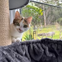 Photo of Lily