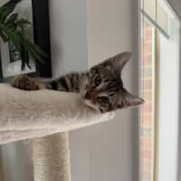 Photo of Spike