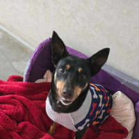 Photo of Lexi