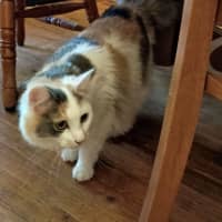 Photo of Wendy