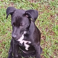 Photo of Chanel