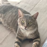 Photo of David (9185)