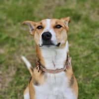 Photo of 🌼 Daisy 6367 🌼