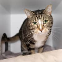Photo of Cash