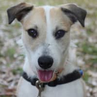 Photo of Shelly
