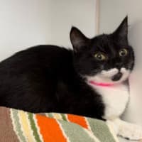 Photo of Kiki