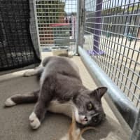 Photo of Mary! 🕊️