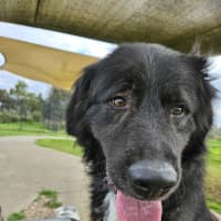 Photo of Lenny
