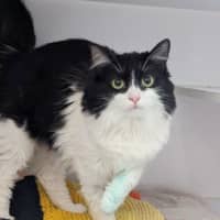 Photo of Marceline