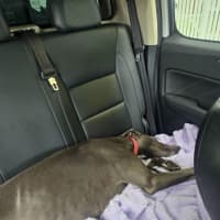 Photo of Smokey
