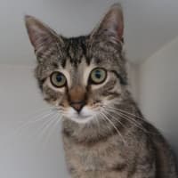 Photo of Bobble