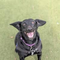 Photo of Ares