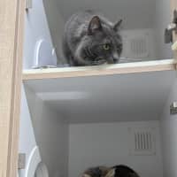 Photo of 💞 Pablo 6791 💞