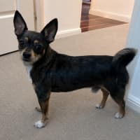 Photo of Charko