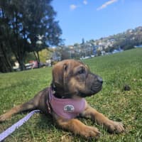 Photo of Jelly