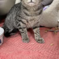 Photo of Daisy