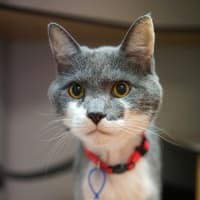 Photo of Principal Flutie 