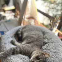 Photo of Roxy