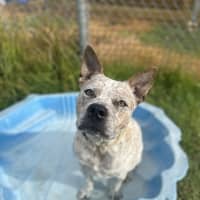 Photo of Bruce