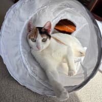 Photo of Denae
