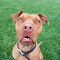 Photo of Gimmo Doolan