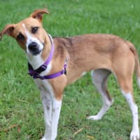 Photo of Leela