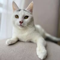 Photo of Nora   In Foster Care In Fawkner