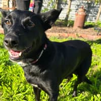 Photo of Bess