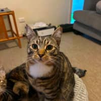 Photo of Sunny