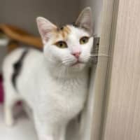 Photo of Quinnie