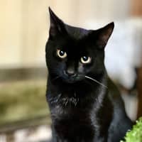 Photo of Prada & Vadar