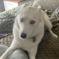 Photo of Angel