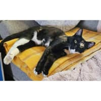 Photo of 12138   Black Mask