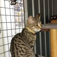 Photo of Ares