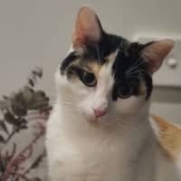 Photo of Matilda