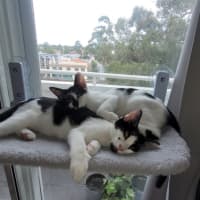 Photo of Manny And Munro