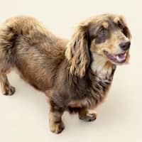 Photo of Matilda