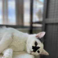 Photo of 🗼 Gilly 5927 🗼