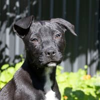 Photo of Lumen