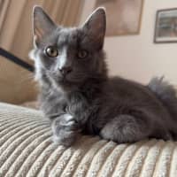 Photo of Earl Grey