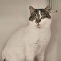 Photo of Merry